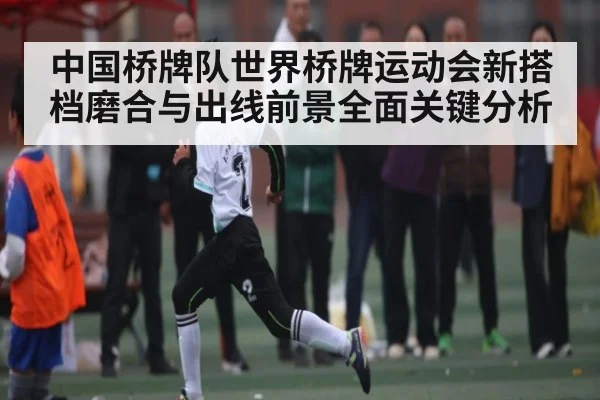 中国桥牌队世界桥牌运动会新搭档磨合与出线前景全面关键分析